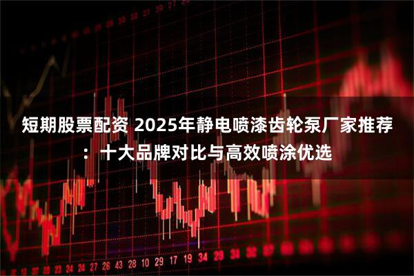 短期股票配资 2025年静电喷漆齿轮泵厂家推荐：十大品牌对比与高效喷涂优选
